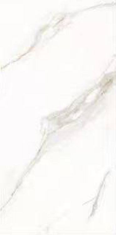 Time Lumidora Polished 12 x 24